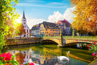 Comfort Alsace Almanya İsviçre Noel Pazarları Turu