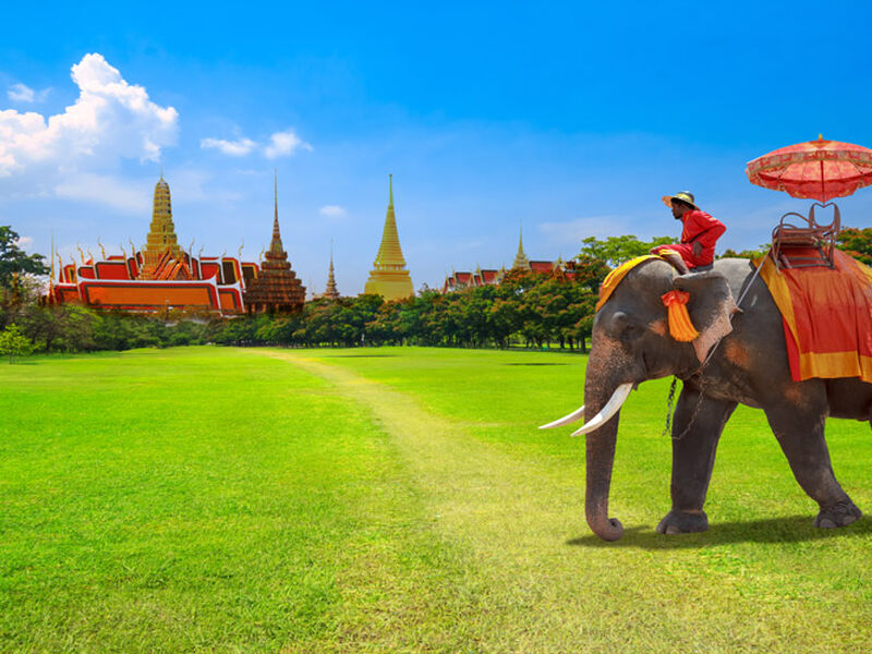 Comfort Bangkok - Phuket Turu
