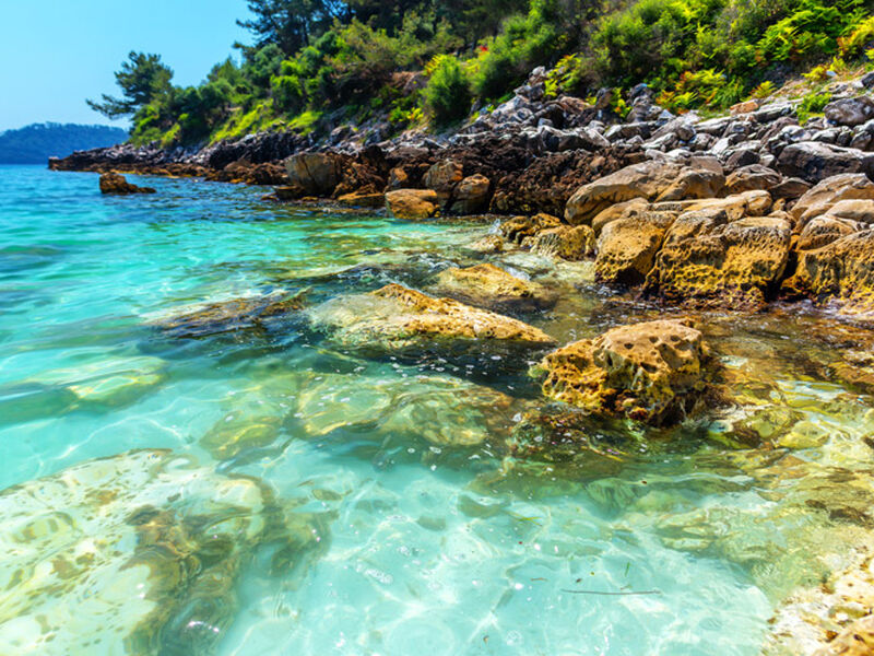 Halkidiki Selanik Paralia ve Thassos Adası Turu