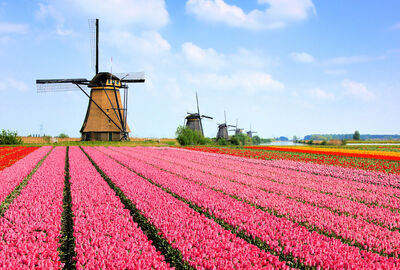 Amsterdam Turu