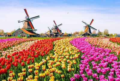 Amsterdam Turu