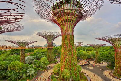 Bangkok & Phuket & Singapur Turu