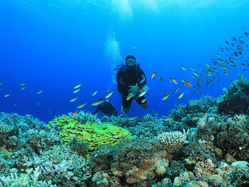 Sharm El Sheikh Turu Swissotel