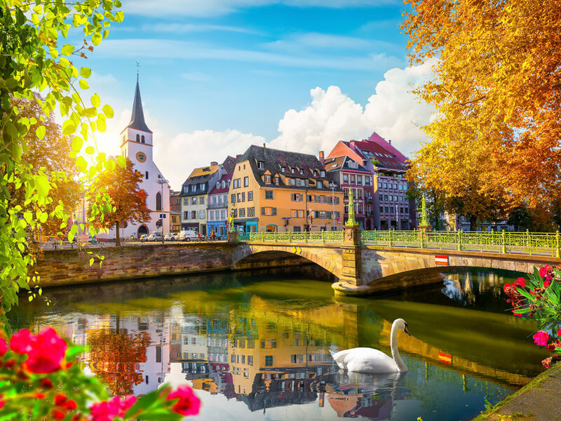 Comfort Alsace Almanya İsviçre Noel Pazarları Turu